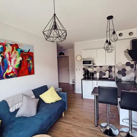Apartamenty Everysky Karpacz Ogrodnicza 9 Apartment Karpacz